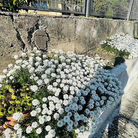 Apartment Iva Rijeka