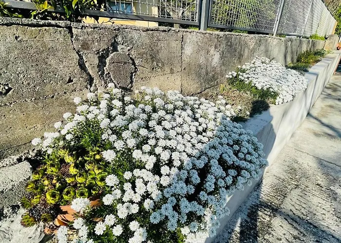 公寓 Iva 里耶卡